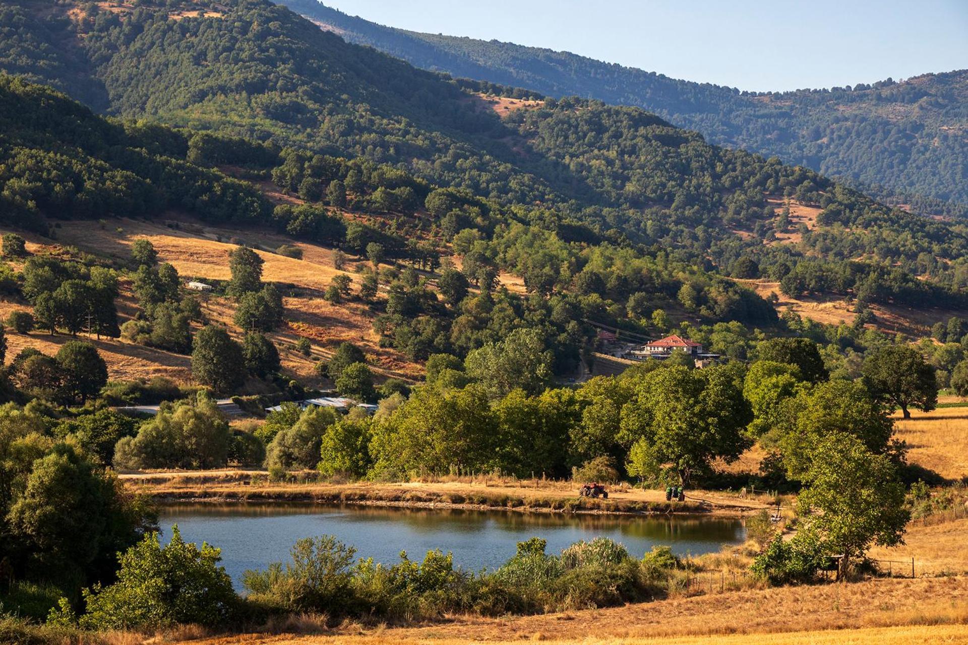 Ktima Bellou Agios Dimitrios  외부 사진