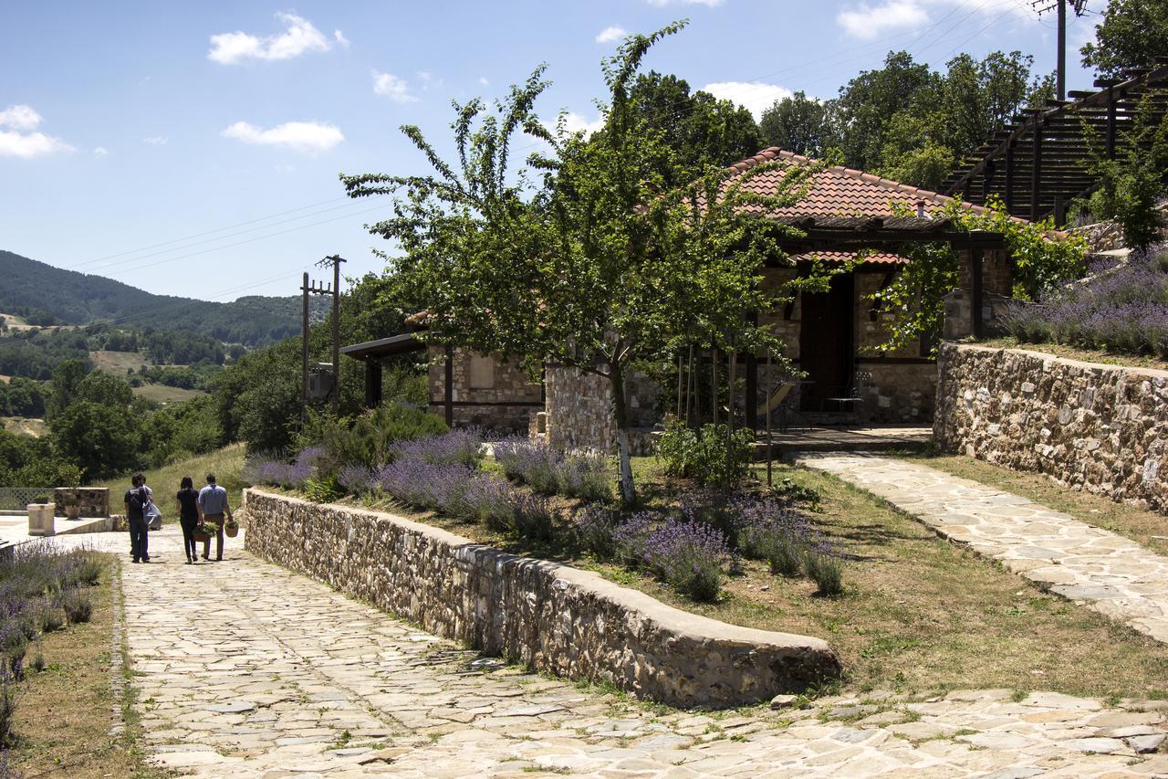Ktima Bellou Agios Dimitrios  외부 사진